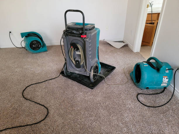 Best Residential water damage restoration  in Batavia, OH