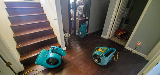 Best Carpet water damage restoration  in Batavia, OH