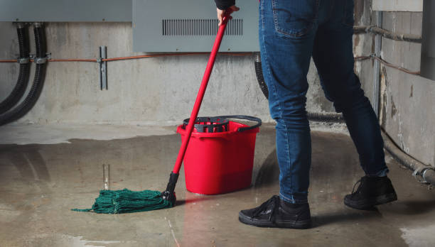 Trusted Batavia, OH Water damage restoration Experts