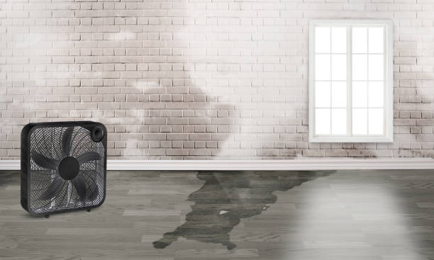 Best Flood restoration services  in Batavia, OH