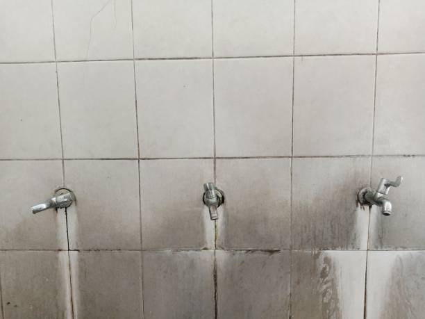 Best Flooded house restoration  in Batavia, OH