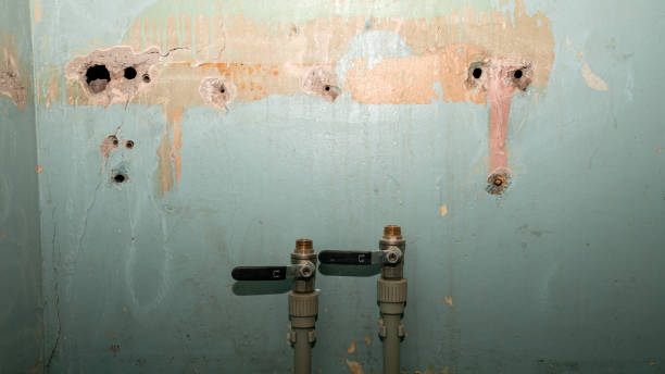 Best Flood damage cleanup  in Batavia, OH