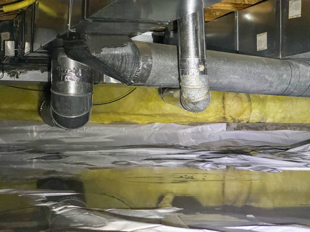 Best Water damage restoration specialists  in Batavia, OH